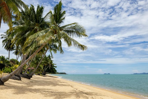 Quels Jeux à Sous Paient De L Argent Réel