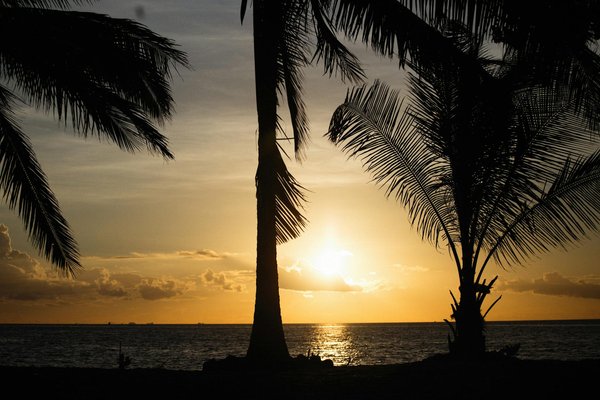 Tous Les Tirages Keno