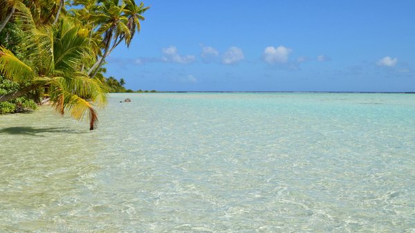 Slots Palace Casino 50 Free Spins