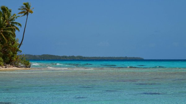 Tropezia Palace Casino No Deposit Bonus