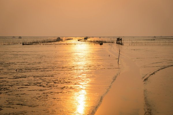 Règles Jeux Blackjack