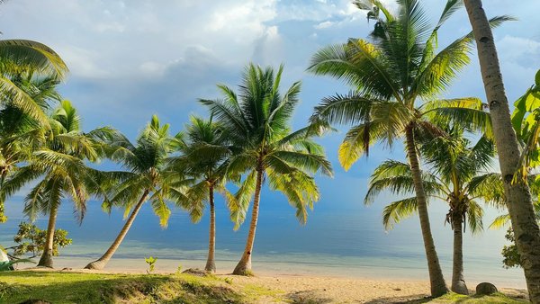 Règle Du Jeux Le Rami