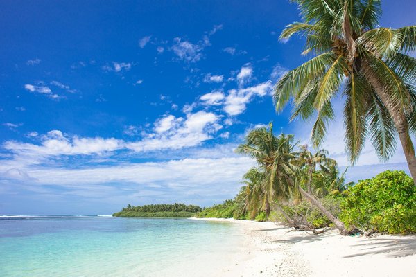 Pronostic Keno Pendule