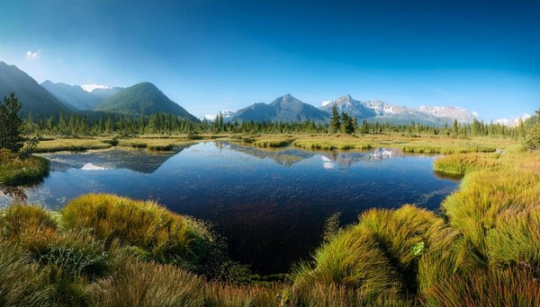 Règle De La Roulette Au Casino