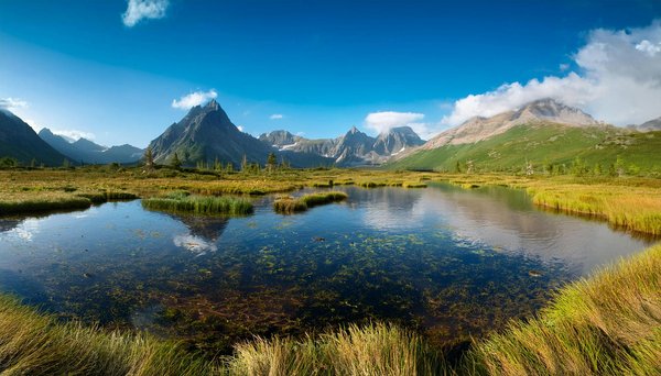 Gagner Aux Machines à Sous Signifiant