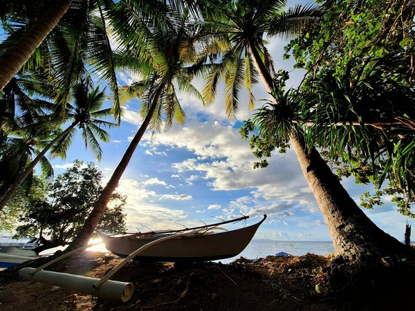 Rever De Jouer Au Casino Islam