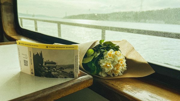 Robocat Casino No Deposit Bonus