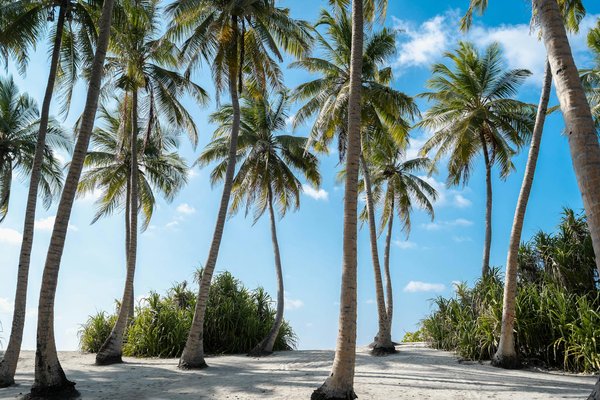 Résultat Keno Mardi Soir