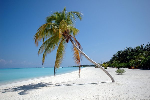 Slots De Casino En Argent Réel En Ligne