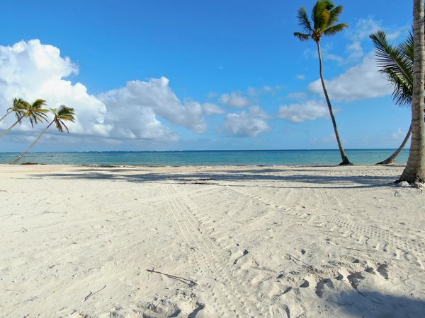 Meilleur Site De Blackjack