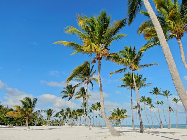 Roulette Pas De Stratégie Perdue