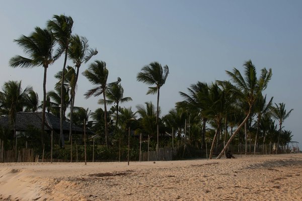 Slots Gratuits Pour L Argent