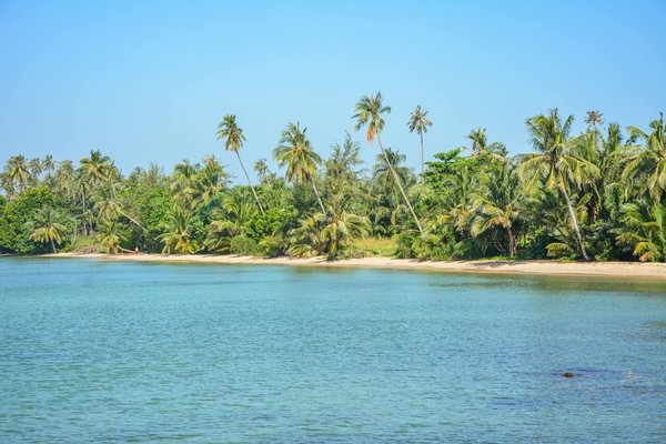 Roulette Européenne Comment Gagner