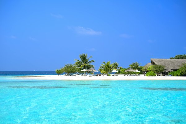 Explication Jeu De La Roulette