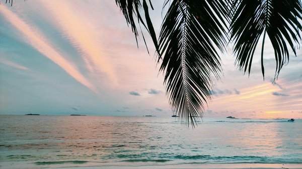 Roulette Croupier Methode